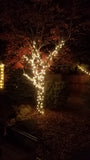 Lighting, Twinkle Ultra clear
