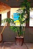 Hawaiian Surf Shack